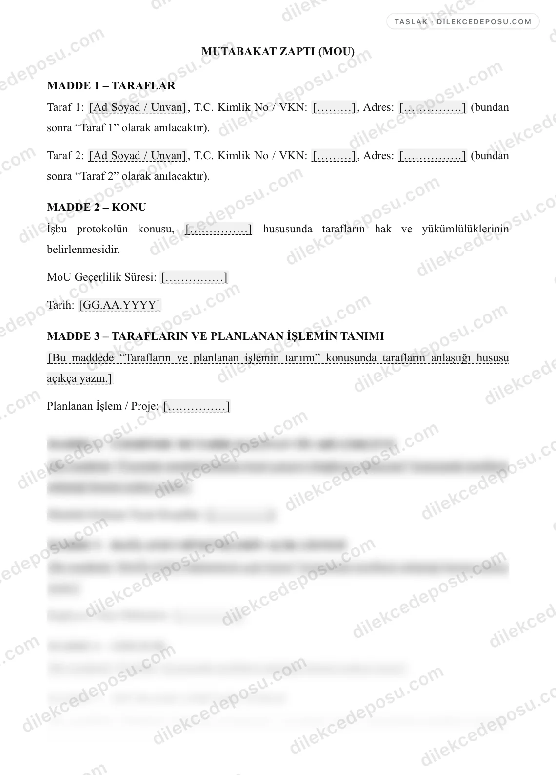 Mutabakat Zaptı (MoU) Örneği – taslağın ilk bölümünün önizlemesi